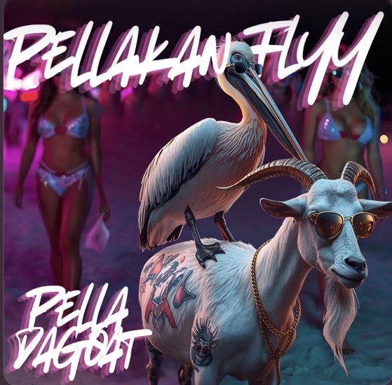 Pellakan Flyy EP - Single cover artwork